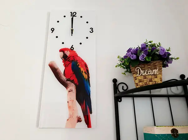 ceas perete papagal