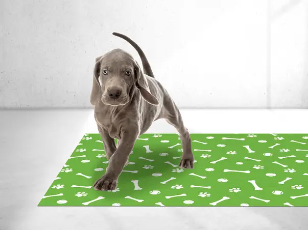 covor antiderapant pentru animale de companie model green0k 2