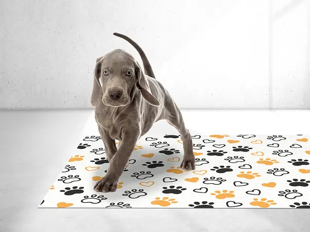 covor antiderapant pentru animale de companie model kona sd3