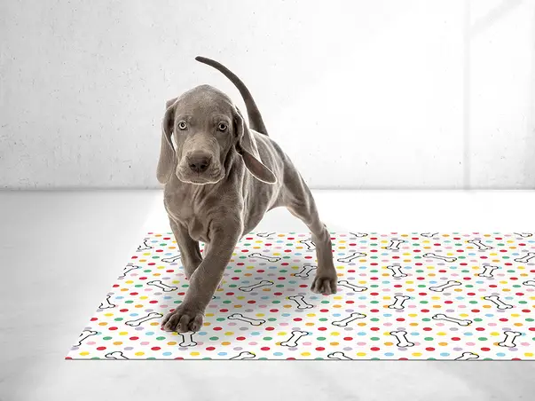 covor antiderapant pentru animale de companie model lucy sd1