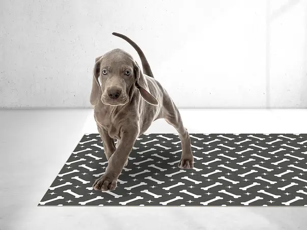 covor antiderapant pentru animale de companie model max sd1