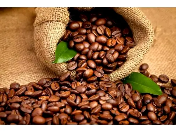 decor perete cafea cu tapet model boabe cafea