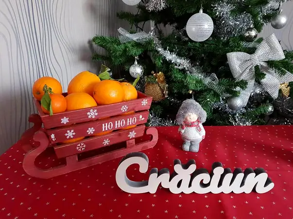 decoratiune sania craciun