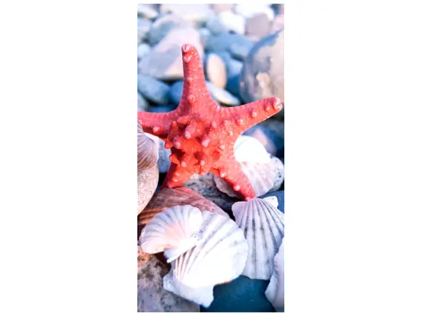 folie autoadeziva cabina dus model stea de mare