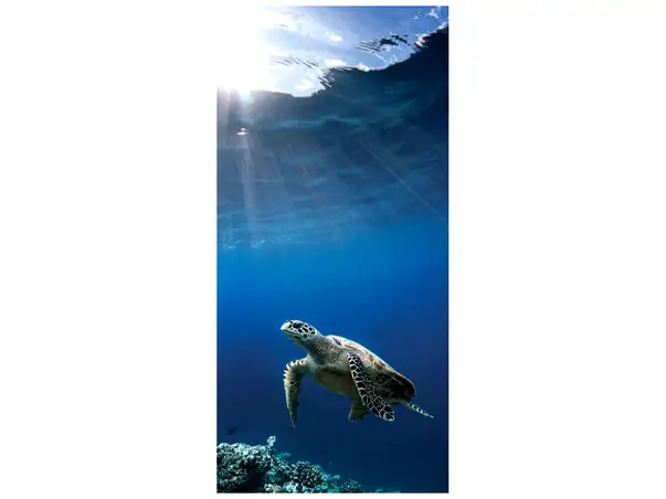 folie autoadeziva cabina dus model testoasa sub apa