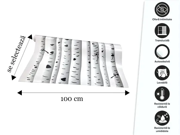 folie de geam autoadeziva sablare model mesteacan padure de mesteceni s01