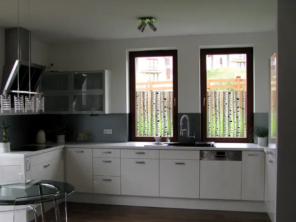 folie de geam autoadeziva sablare model mesteacan padure de mesteceni s04