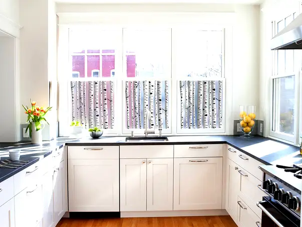 folie de geam autoadeziva sablare model mesteacan padure de mesteceni s05