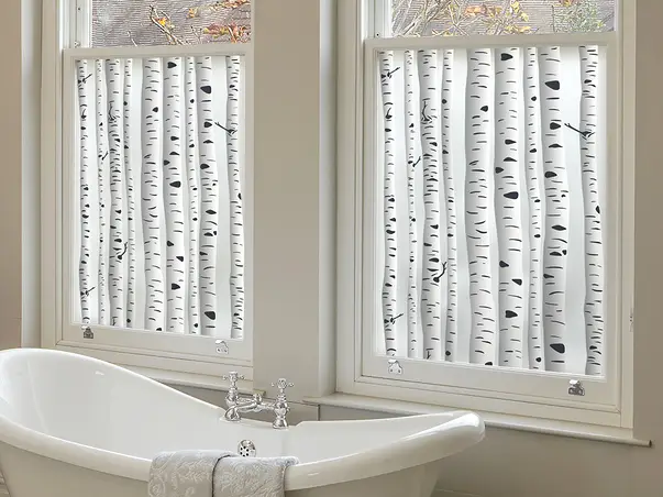 folie de geam autoadeziva sablare model mesteacan padure de mesteceni s06