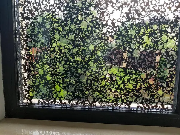 folie de geam decorativa blossom