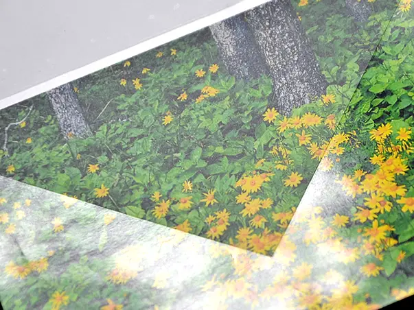 folie de laminare mata in rola 2