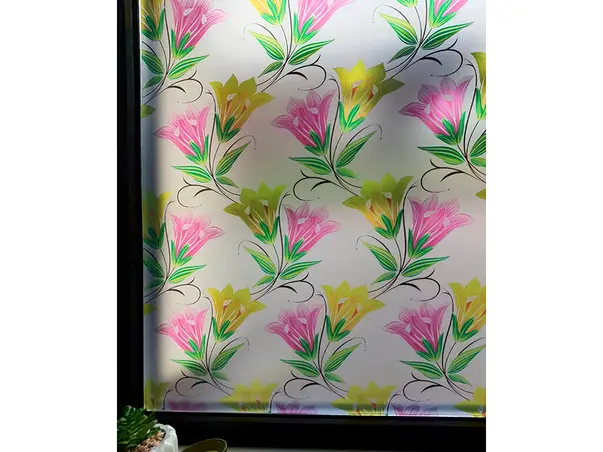 folie geam autoadeziva danielle 2