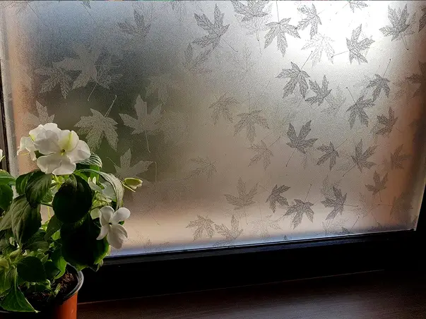 folie geam autoadeziva frunze ava