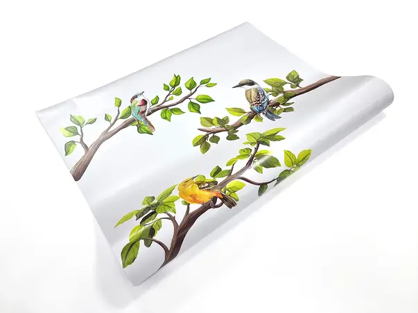 folie geam autoadeziva model crengi si pasari buzunnew sablare tip bordura 50x200cm s04