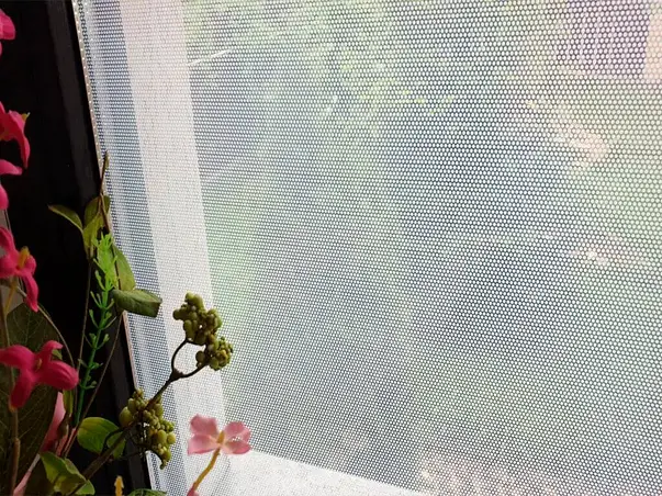 folie geam autoadeziva office deco