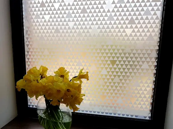 folie geam autoadeziva paxton