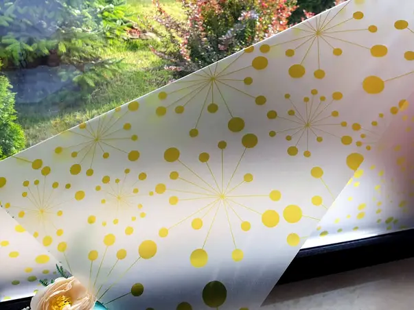 folie geam autoadeziva polly 2