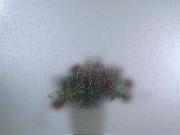 folie geam autoadeziva reispapier