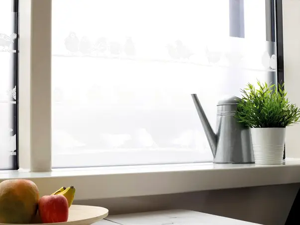 folie geam dcfix filippa model pasari