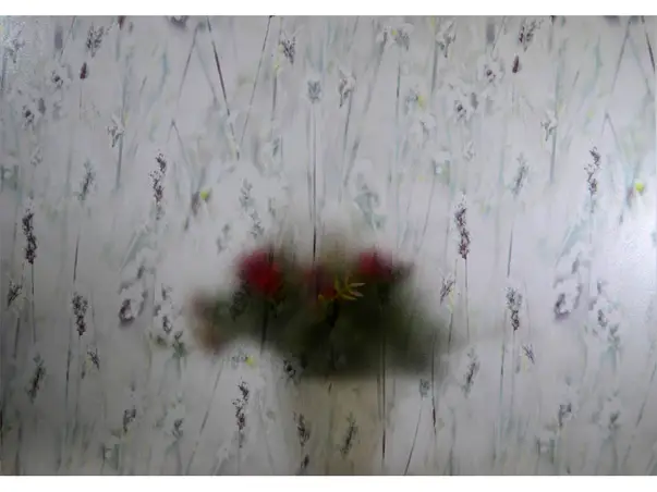 folie geam decorativa electrostatica dcfix somerset 216 8029