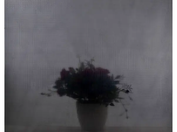 folie geam decorativa electrostatica fumurie