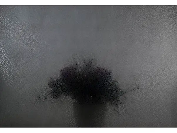 folie geam electrostatica fumurie shine