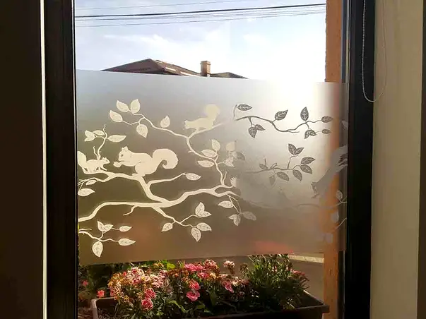 folie geam electrostatica pineview