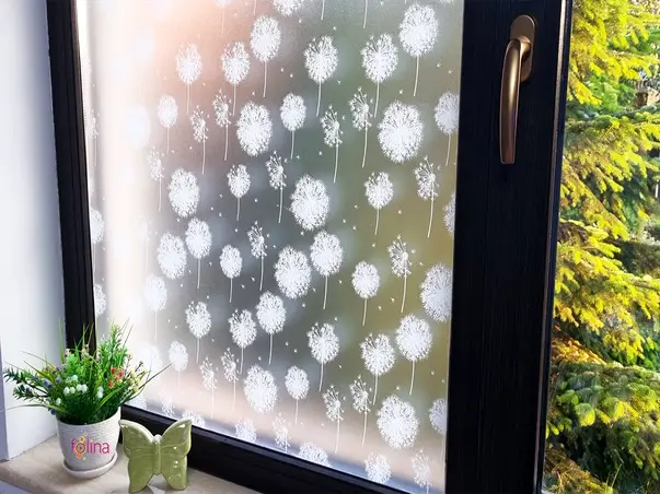 folie geam sa nu se vada in casa