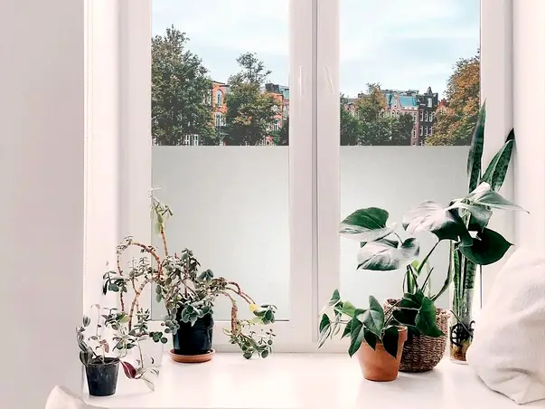 folie geam sablat folina kointec w000 rola 61x200cm s02