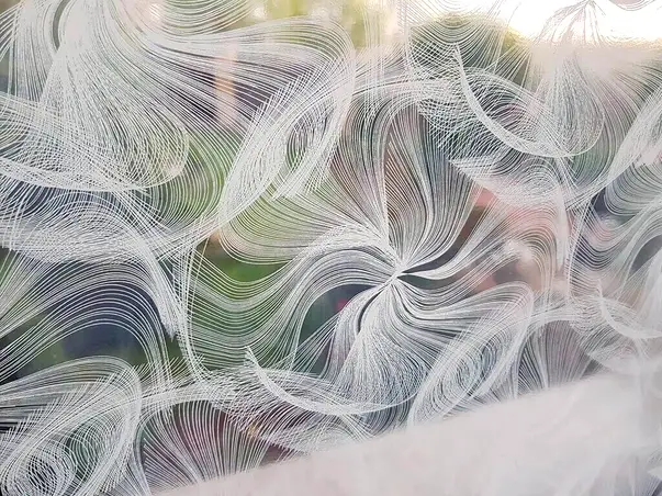 folie geam tara dcfix