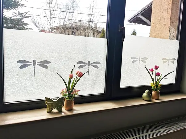 folie geam tip bordura decorativa nibella