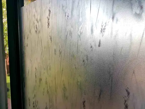 folie sablare decorativa camp somerset