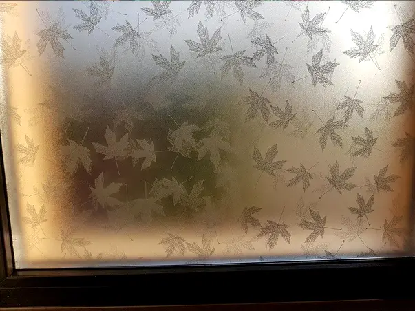 folie sablare frunze gri ava