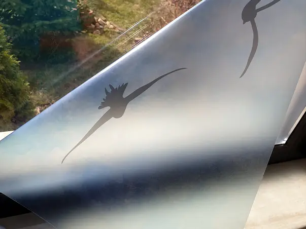 folie sablare model cer