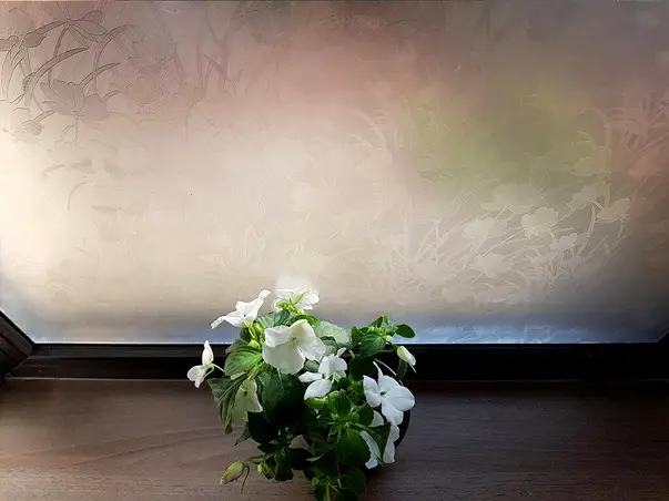 folie sablare model floral layla