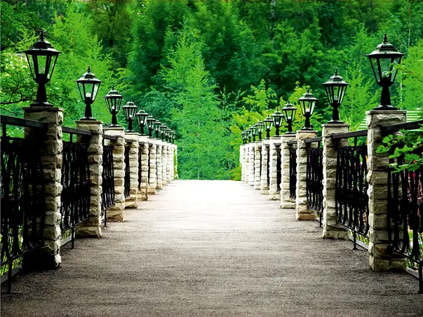 fototapet 3d pod catre padure