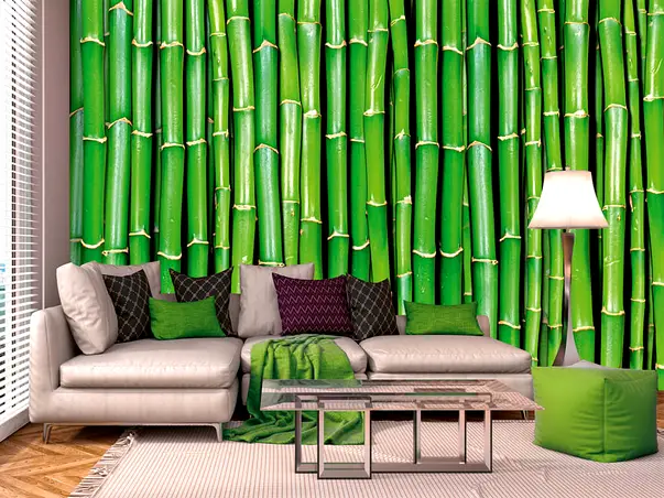 fototapet bamboo dimex bambus verde 375 250 cm