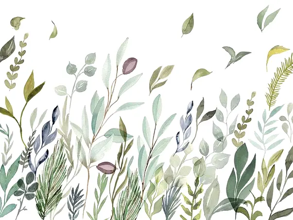 fototapet breeze komar plante verzi