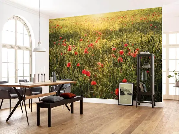 fototapet camp cu maci komar 450 280 cm