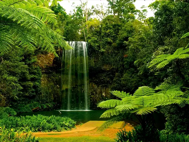 fototapet cascada in decor verde