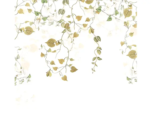 fototapet crengi liana