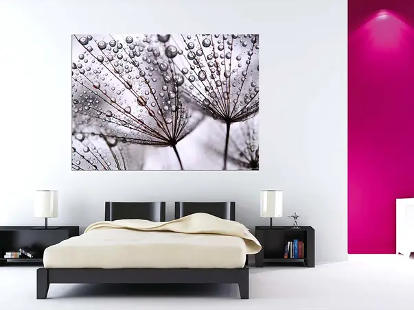 fototapet floral after rain