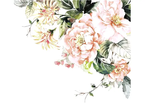 fototapet floral nasrin komar 300 280 cm