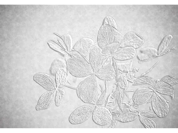 fototapet gri cu model floral gri