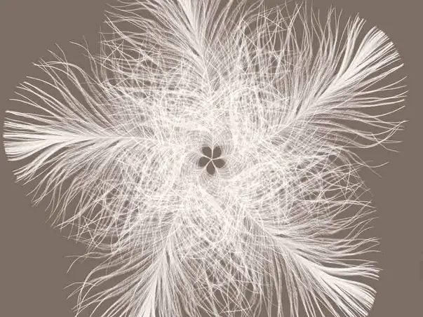 fototapet gri federstern komar