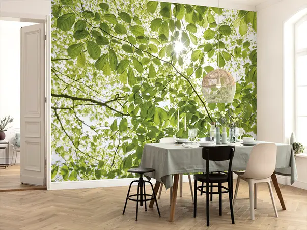 fototapet im Fruhlingswald komar frunze verzi 450 280 cm