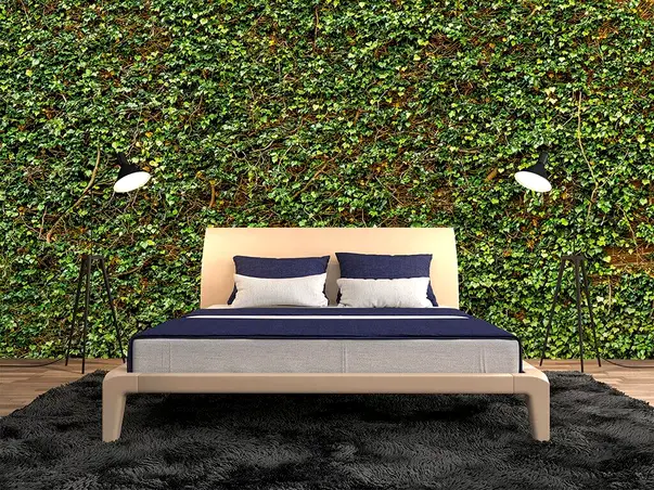 fototapet ivy wall