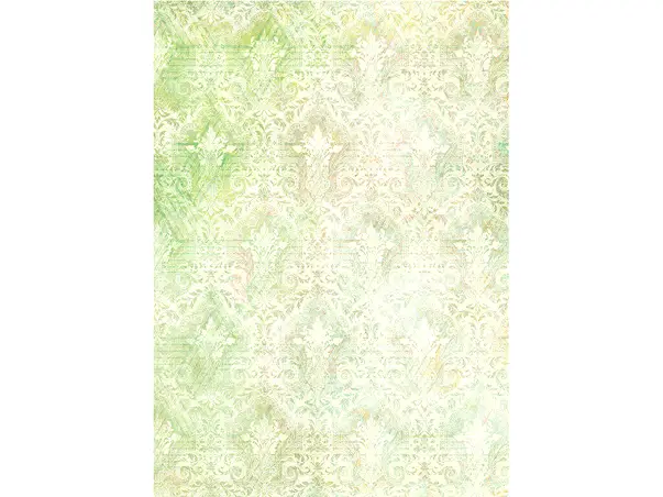 fototapet komar beaute