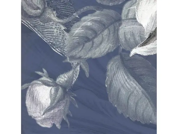 fototapet komar merian blue detaliu