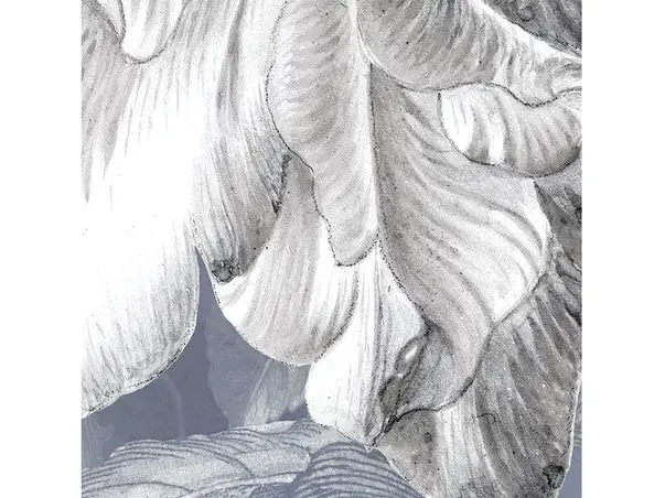 fototapet komar merian blue detaliu floare